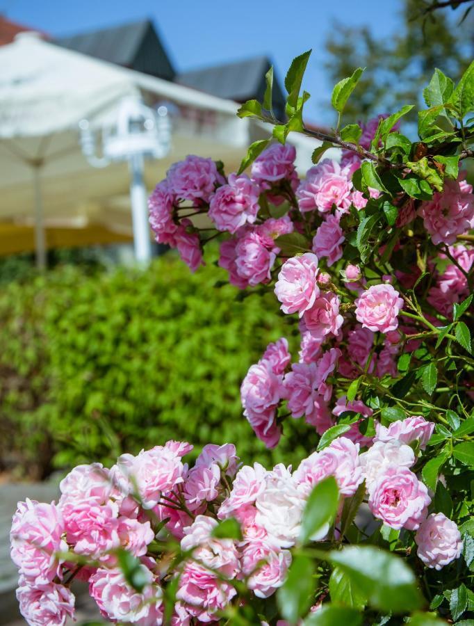 Landhotel Schneider Riedenburg Εξωτερικό φωτογραφία
